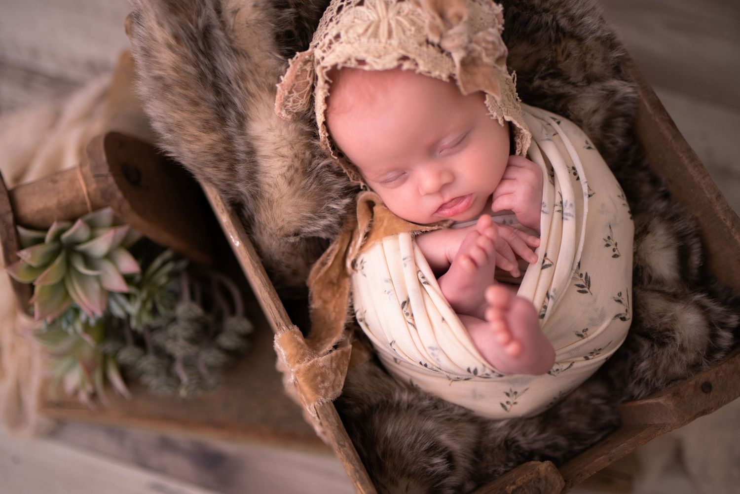 Newborn
