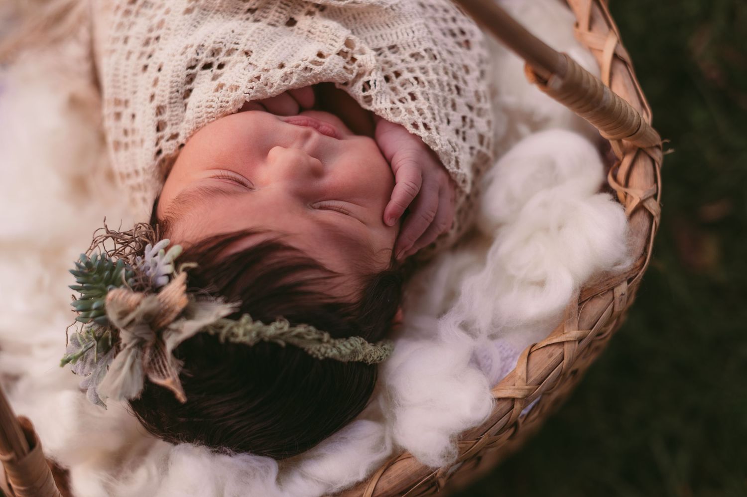 Newborn