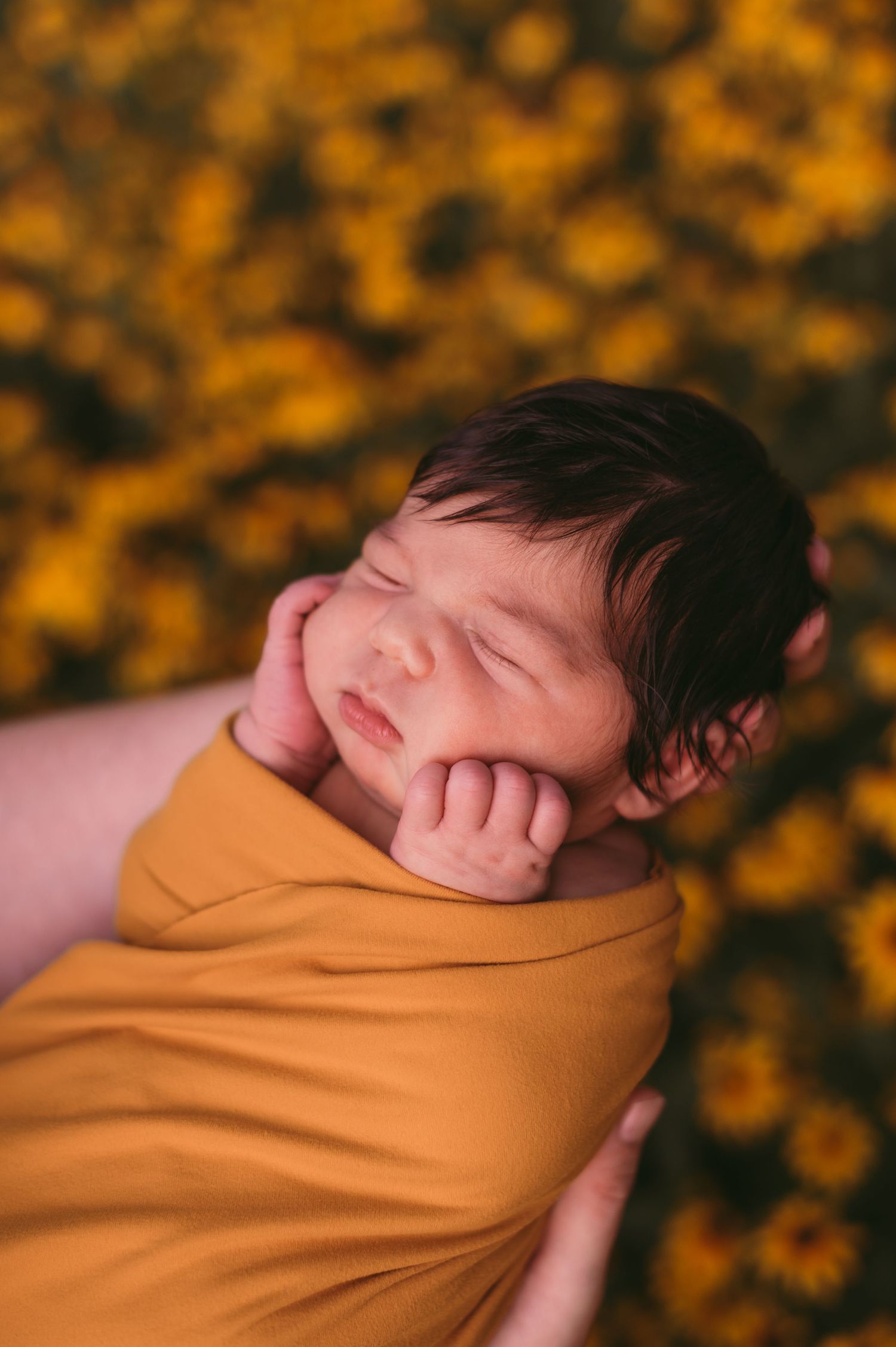 Newborn