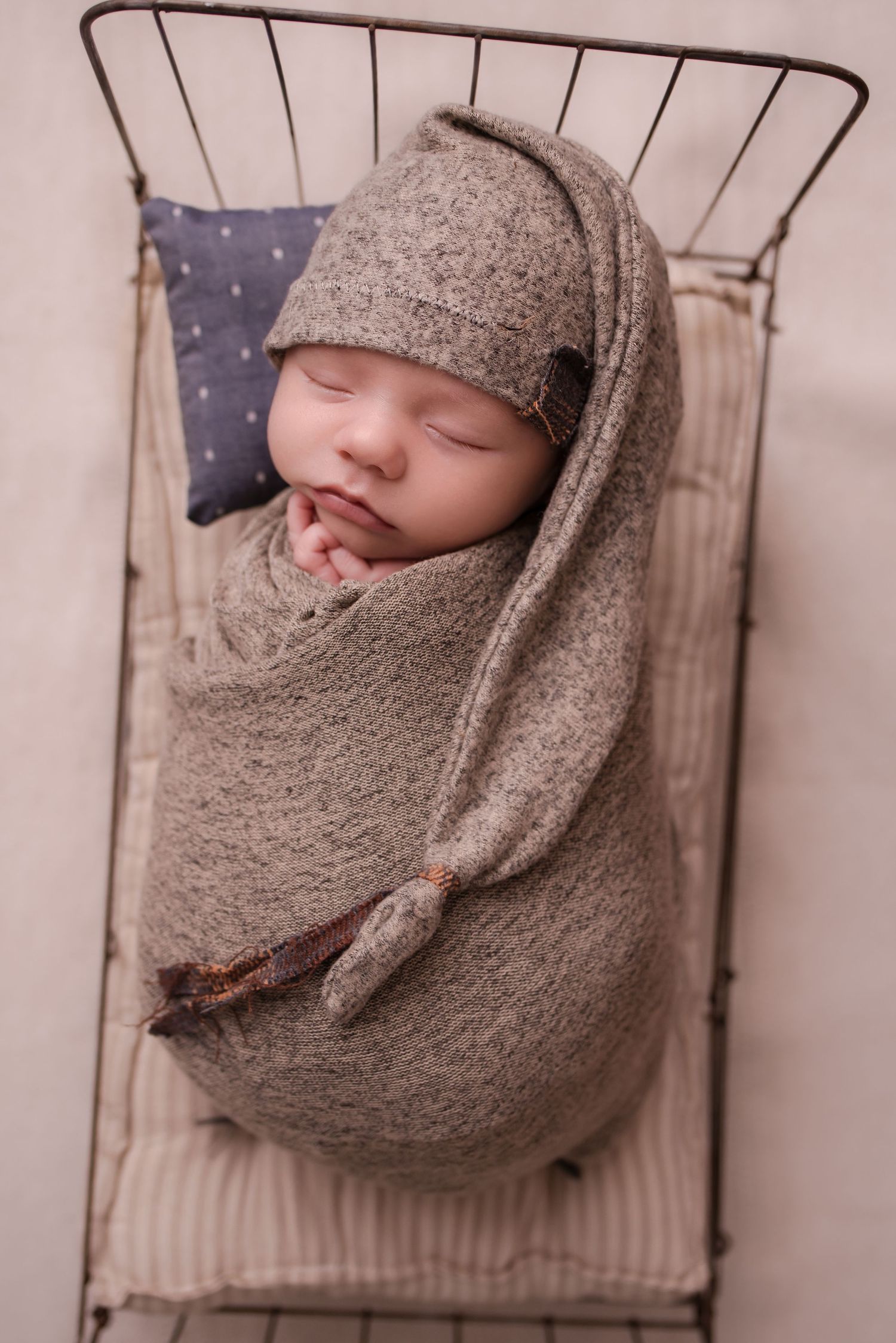 Newborn