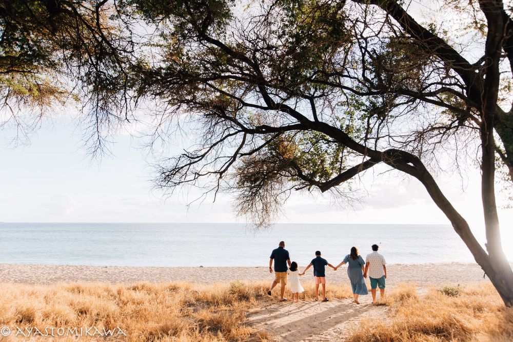 Silhouettes of people walking along a beach path under a leaning tree.