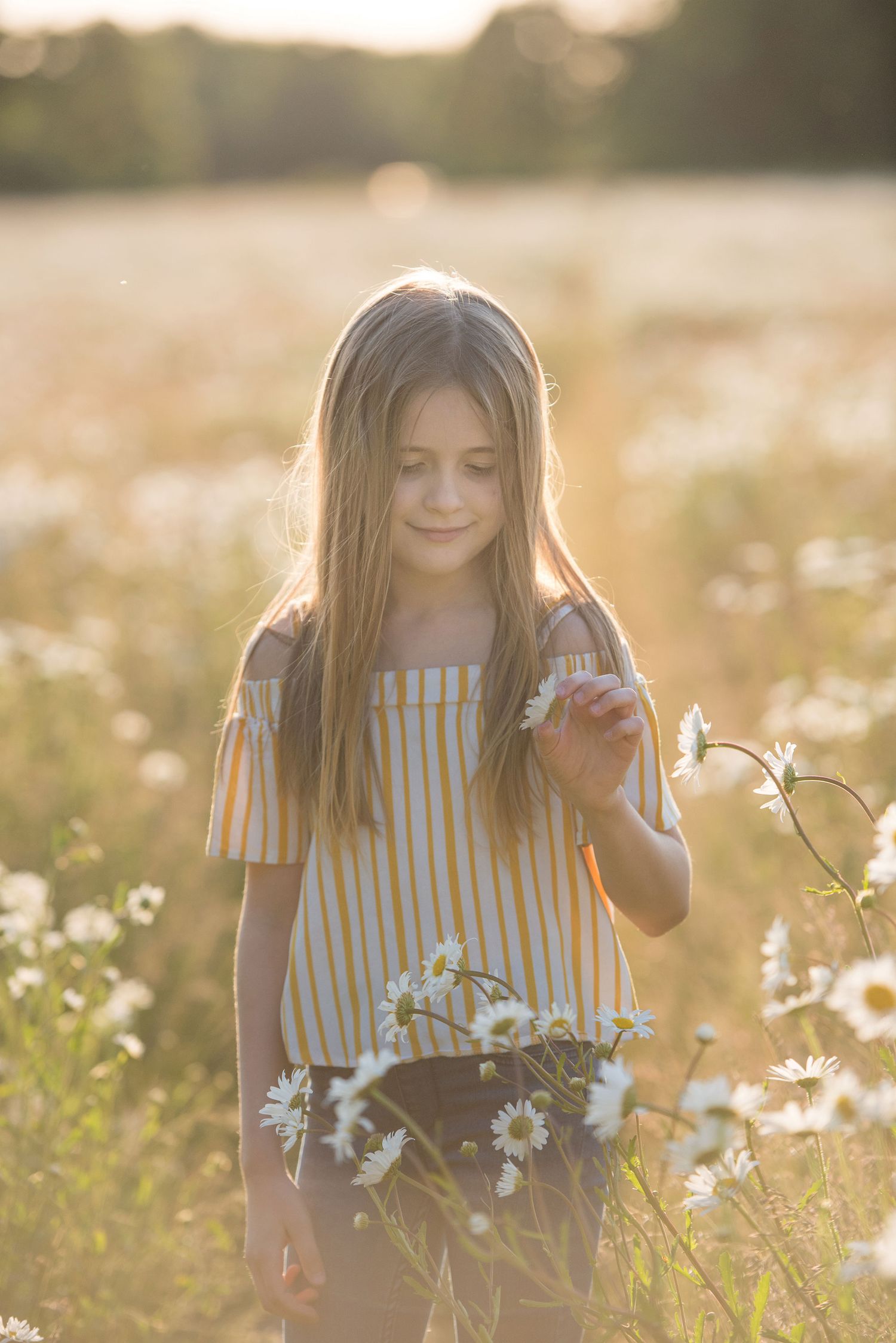 A person in a striped dress picks daisies in a sunlit meadow at golden hour.