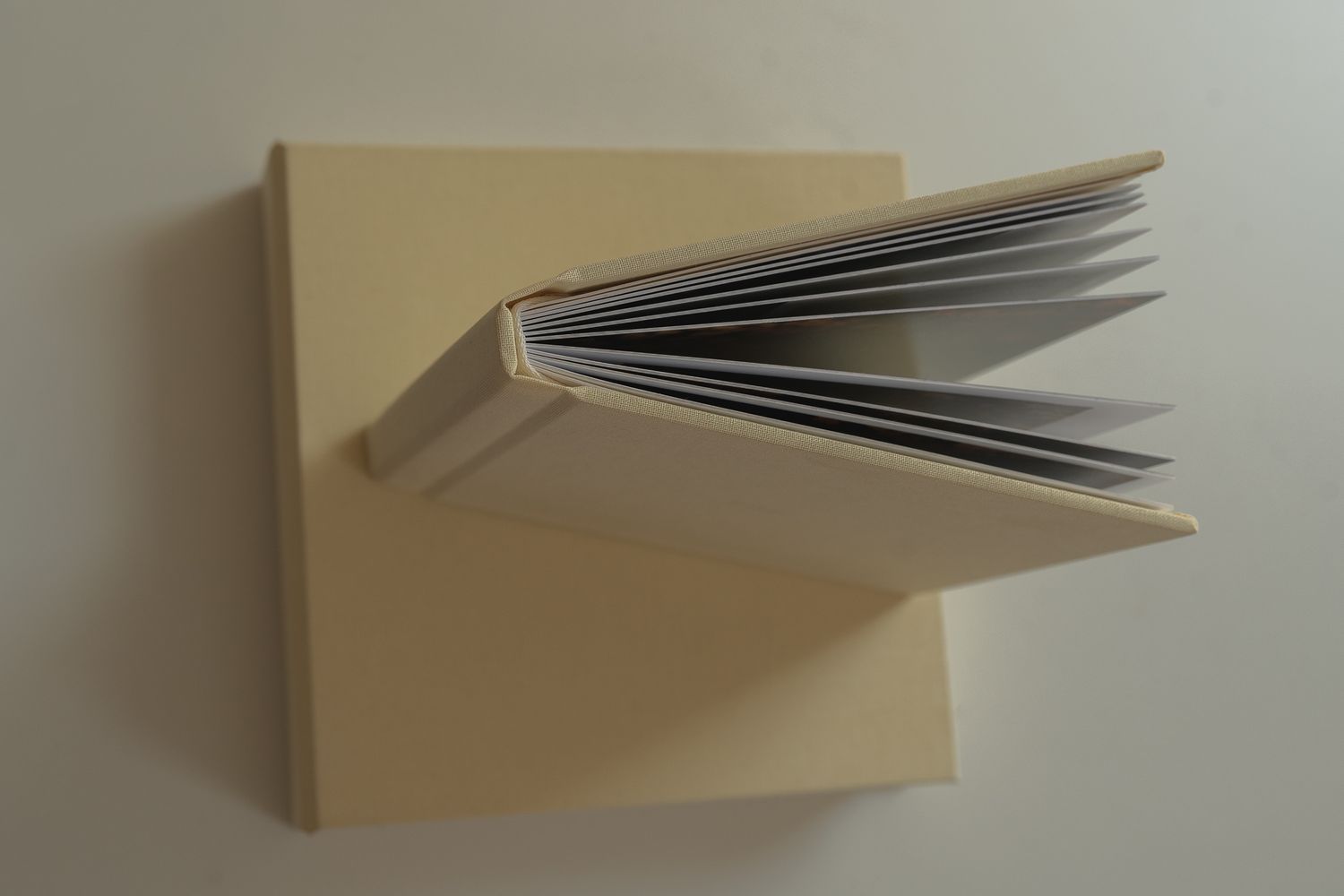 Profesjonelt fotoalbum