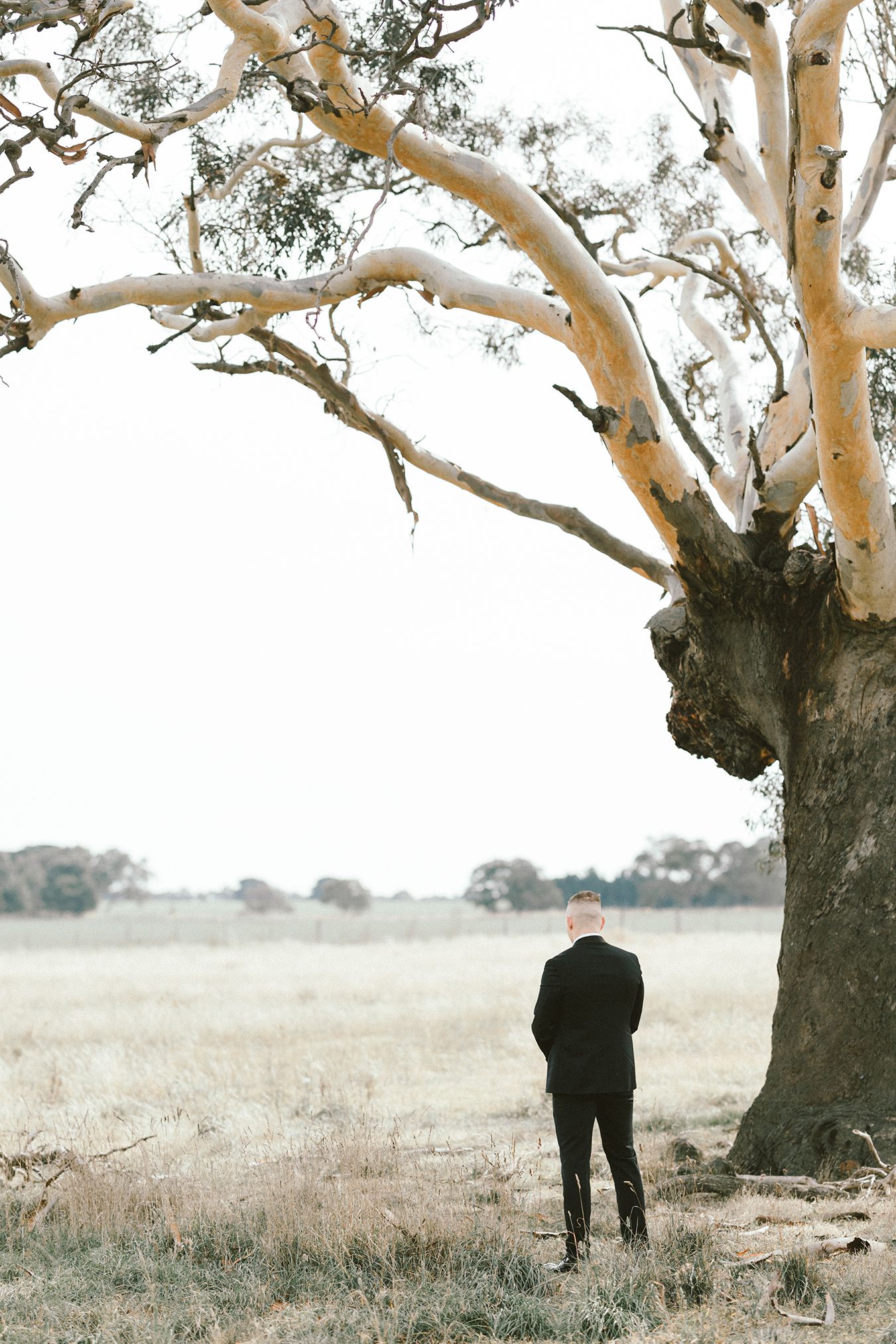 A figure in dark formal attire stands beneath a large gum tree in a rural Australian field.