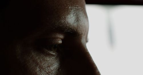 Dramatic side profile shot in shadow and low light.
