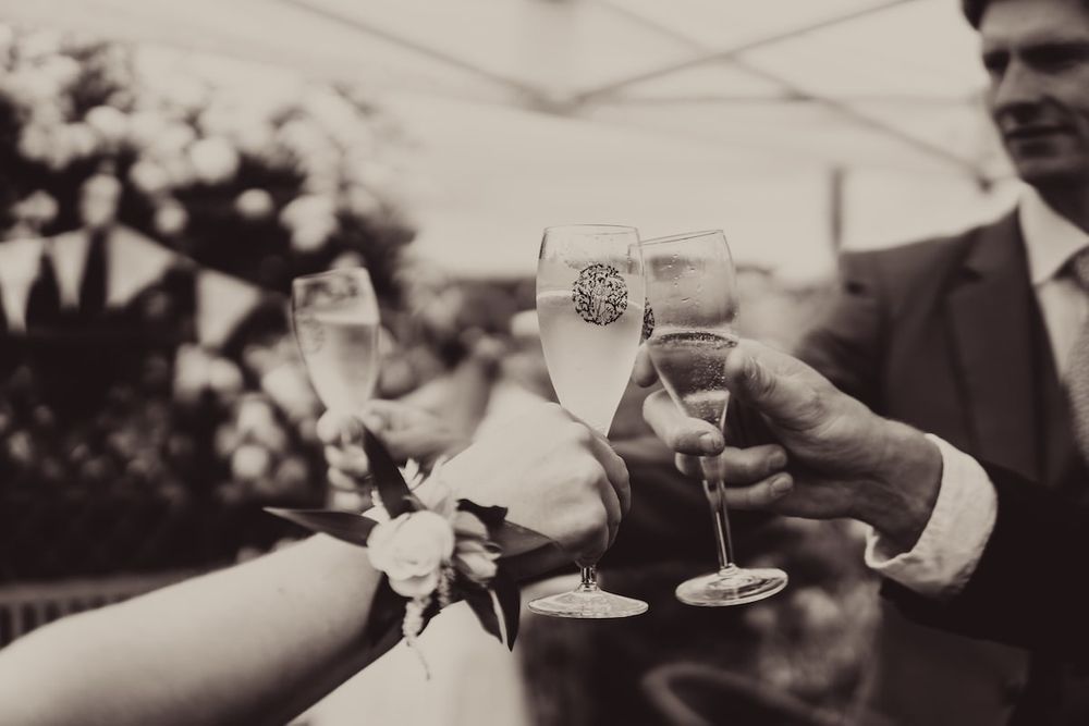 Wedding guests toasting with champagne glasses in a celebratory moment.