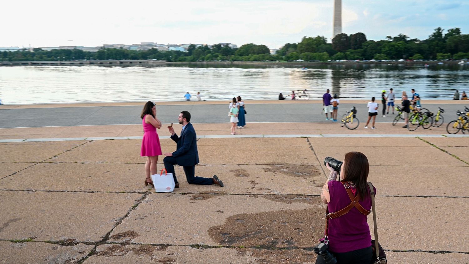 Surprise Proposal Photographer Washington DC