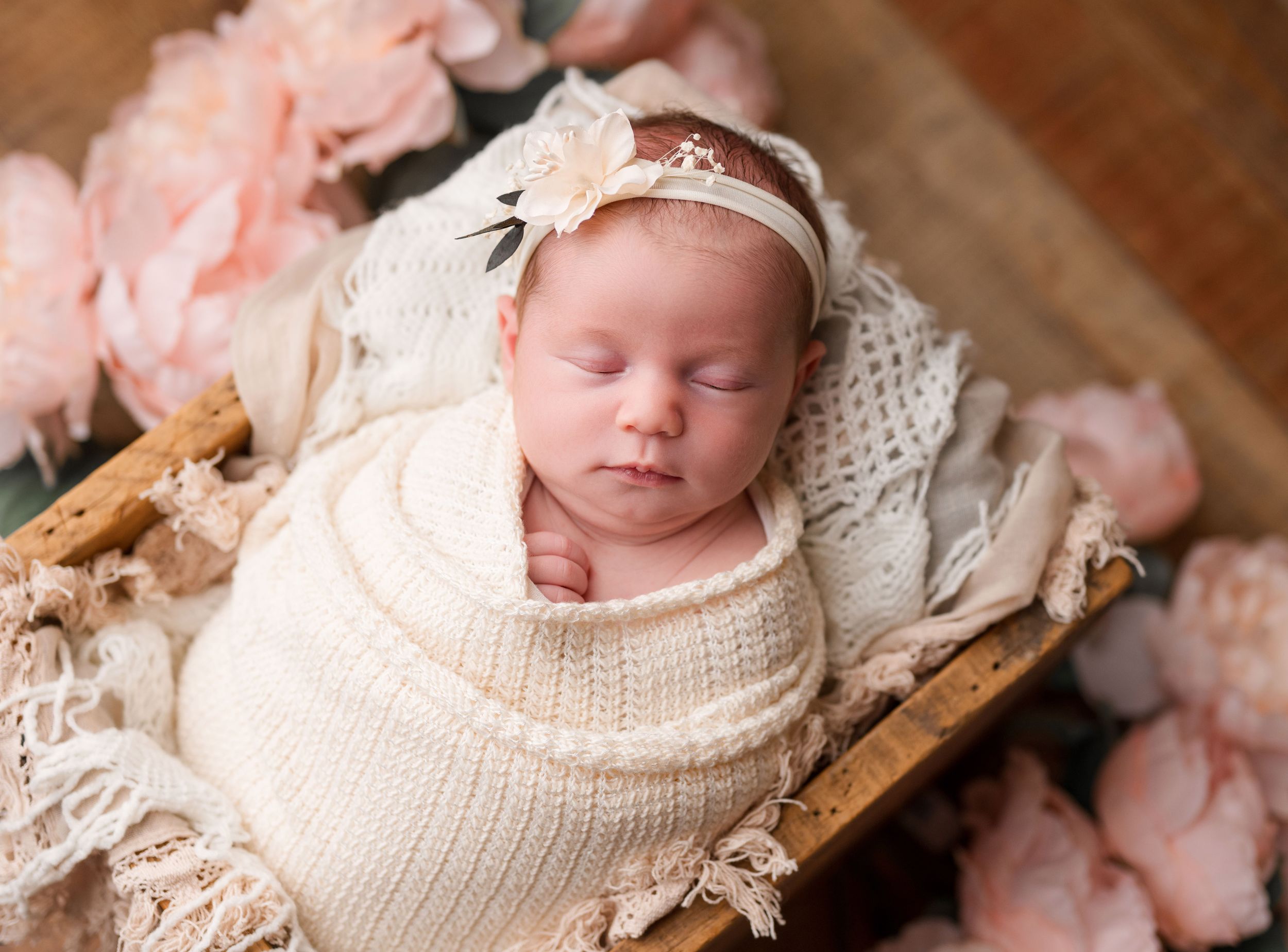 buffalo photo session newborn photographer buffalo photographer wny photographer baby photographer family photographer