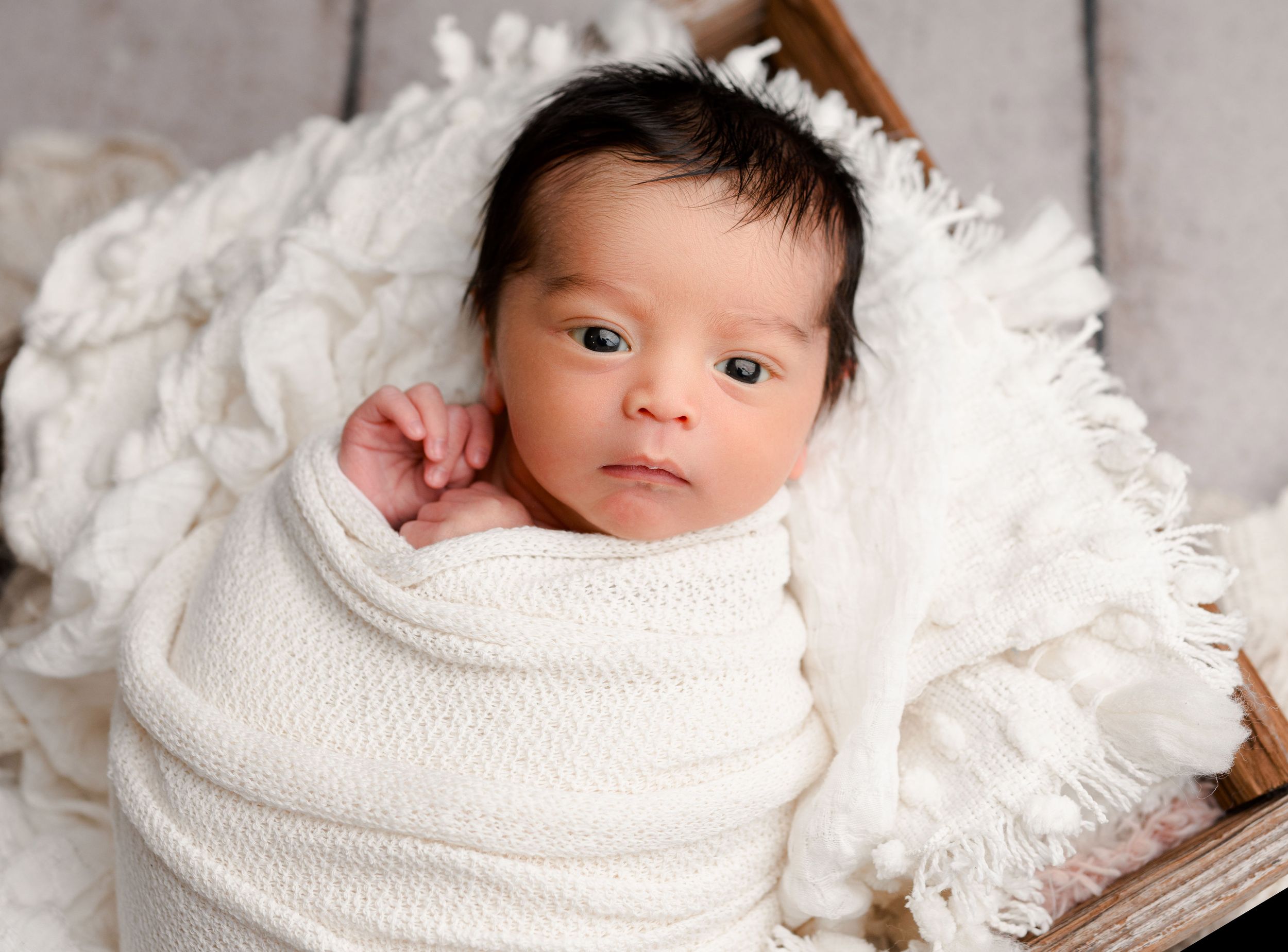 buffalo photo session newborn photographer buffalo photographer wny photographer baby photographer family photographer
