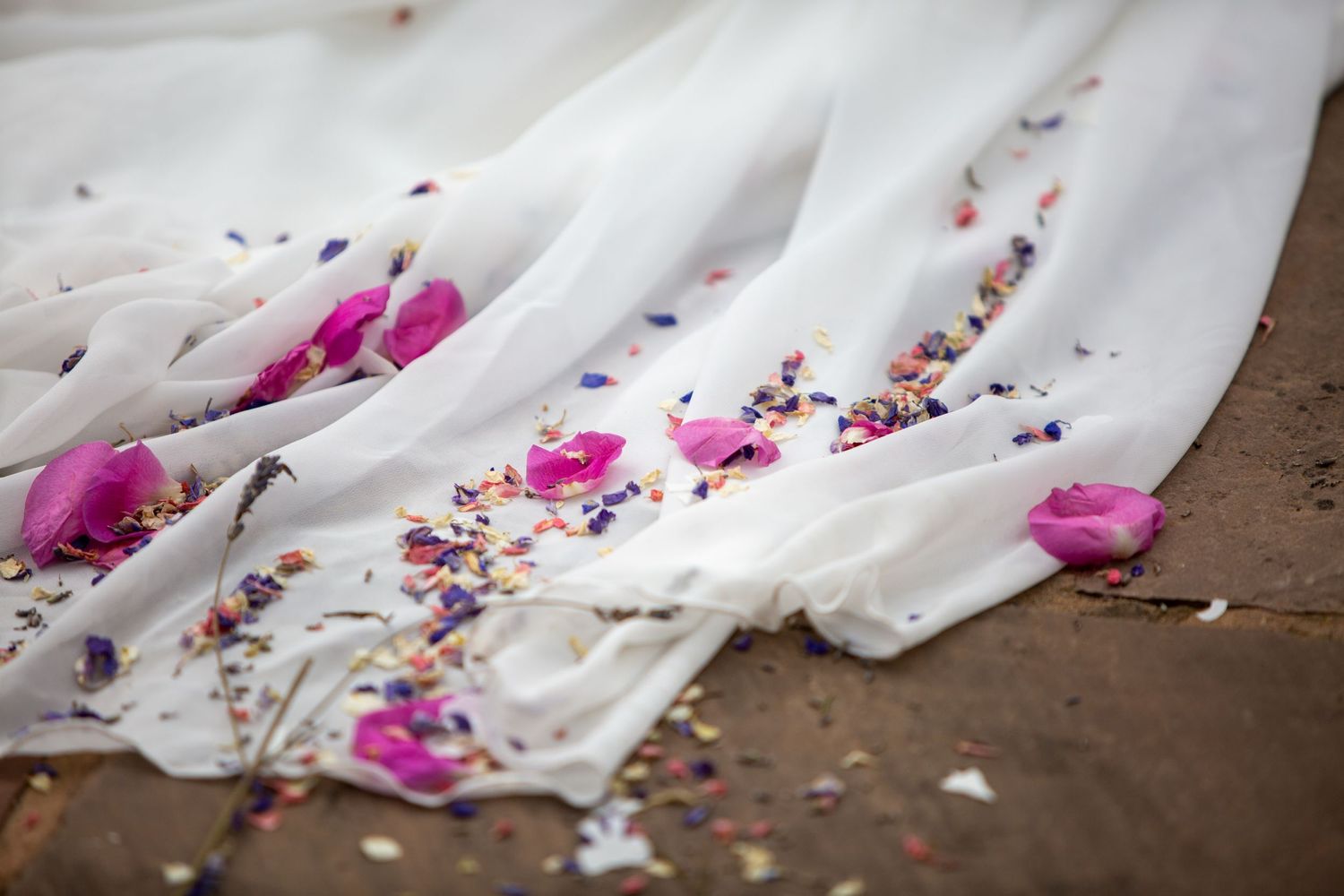 Confetti on Bride's train at wedding in Gloucestershire