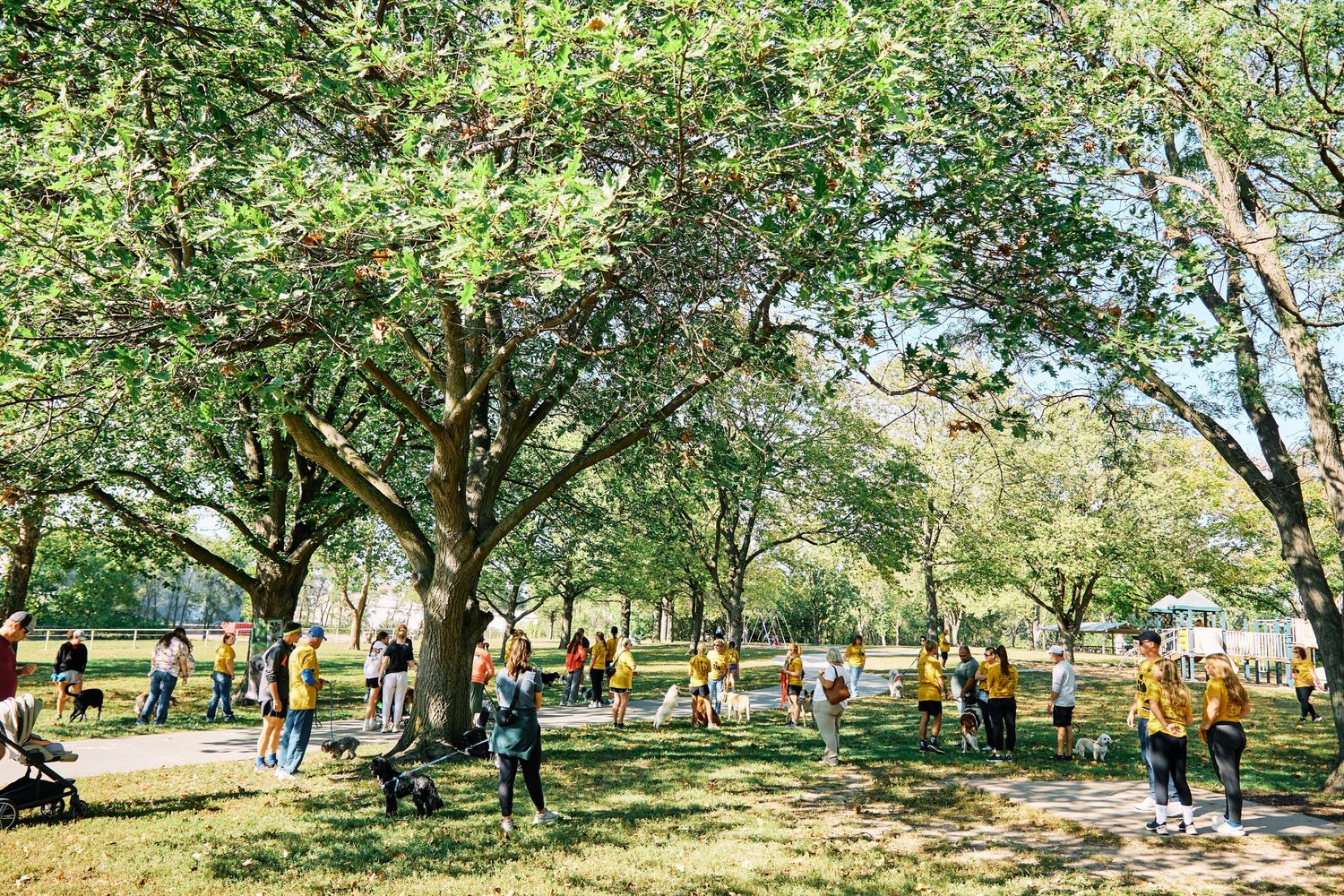 Scenic outdoor park setting with green trees and natural lighting creating a peaceful atmosphere.