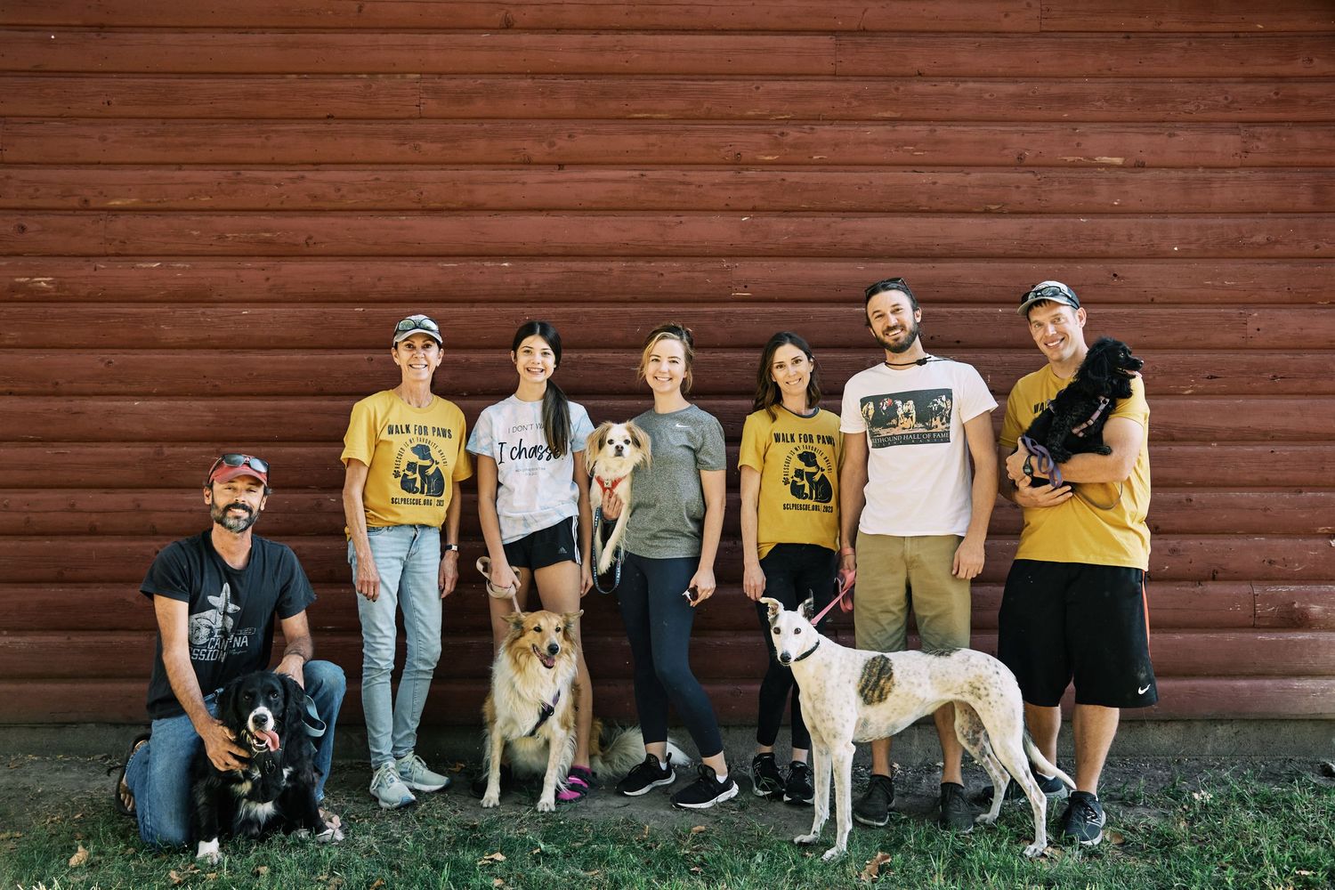 Group photo with dogs lined up against a red barn wall wearing coordinated yellow shirts.