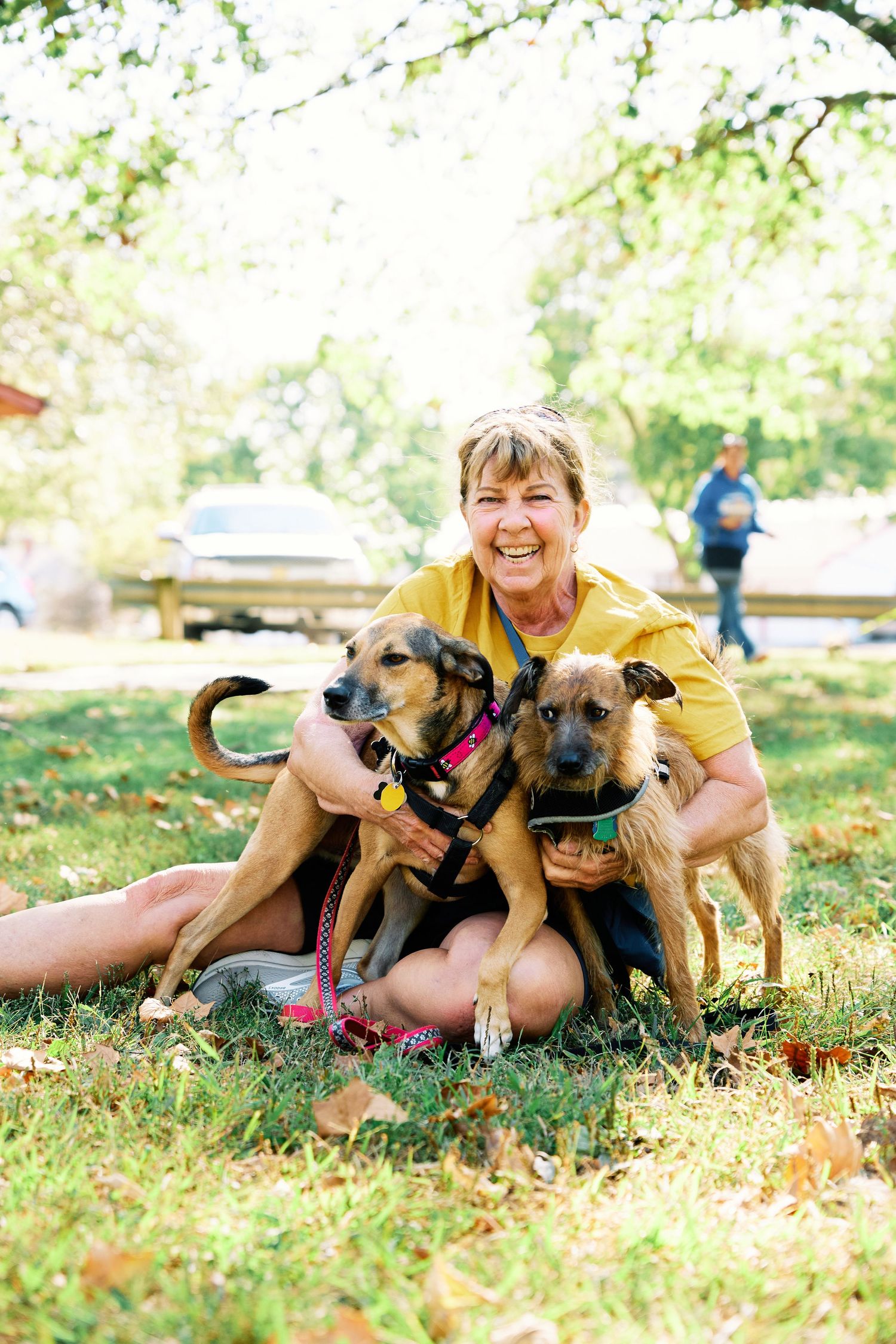 Playful interactions with rescue dogs on grass during sunny outdoor photoshoot.