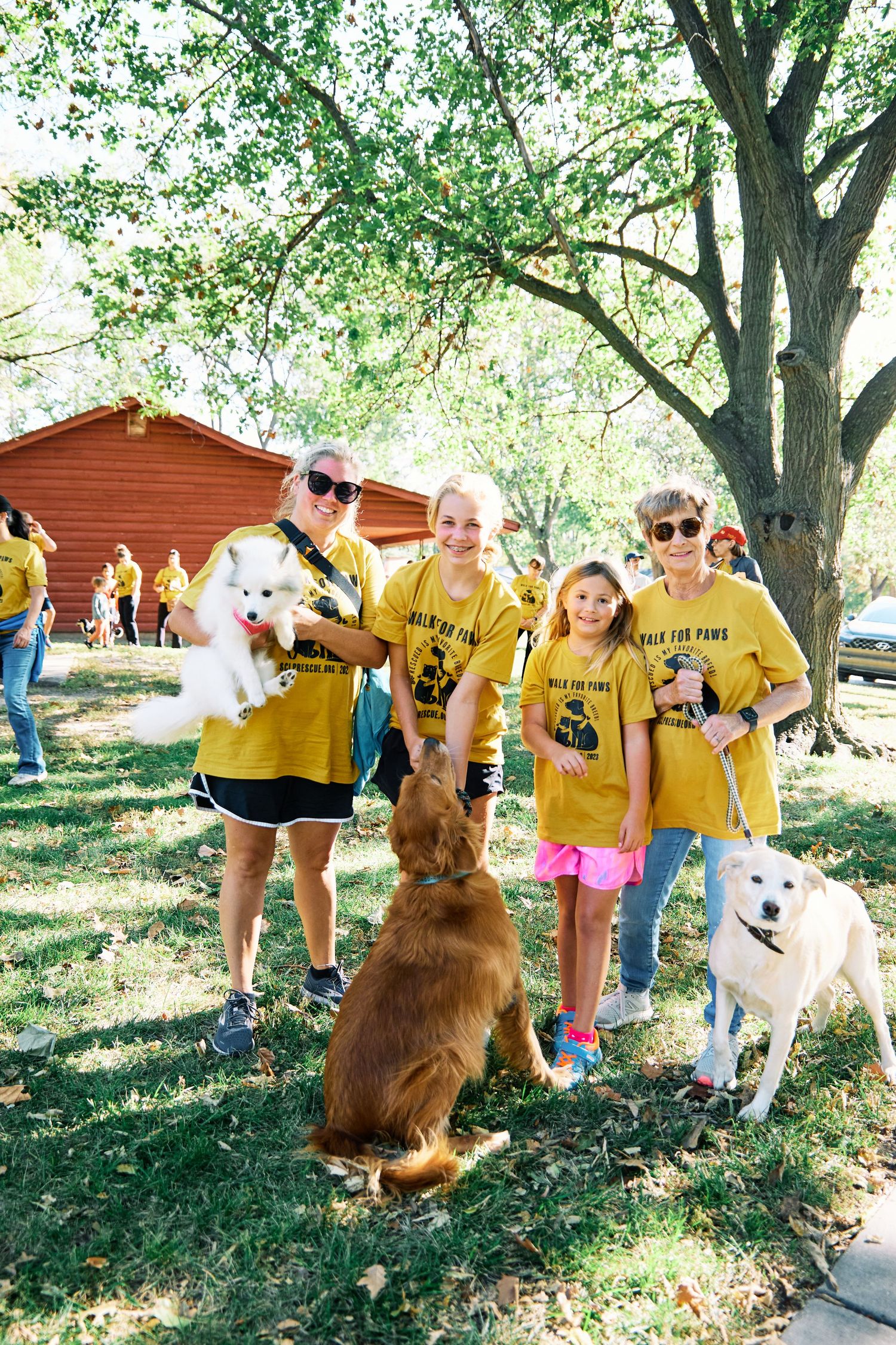 People in yellow shirts gather with several dogs including a brown and white ones near a red building.