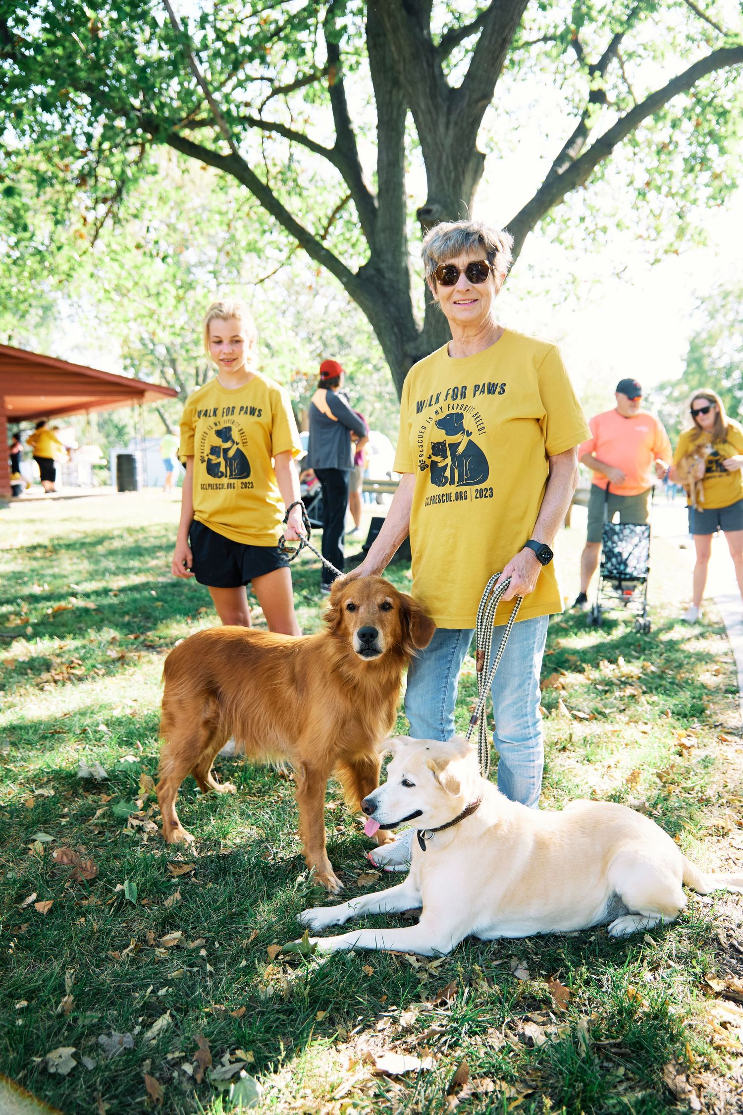 Two dogs, one brown and one white, rest on grass while people in yellow shirts stand nearby.