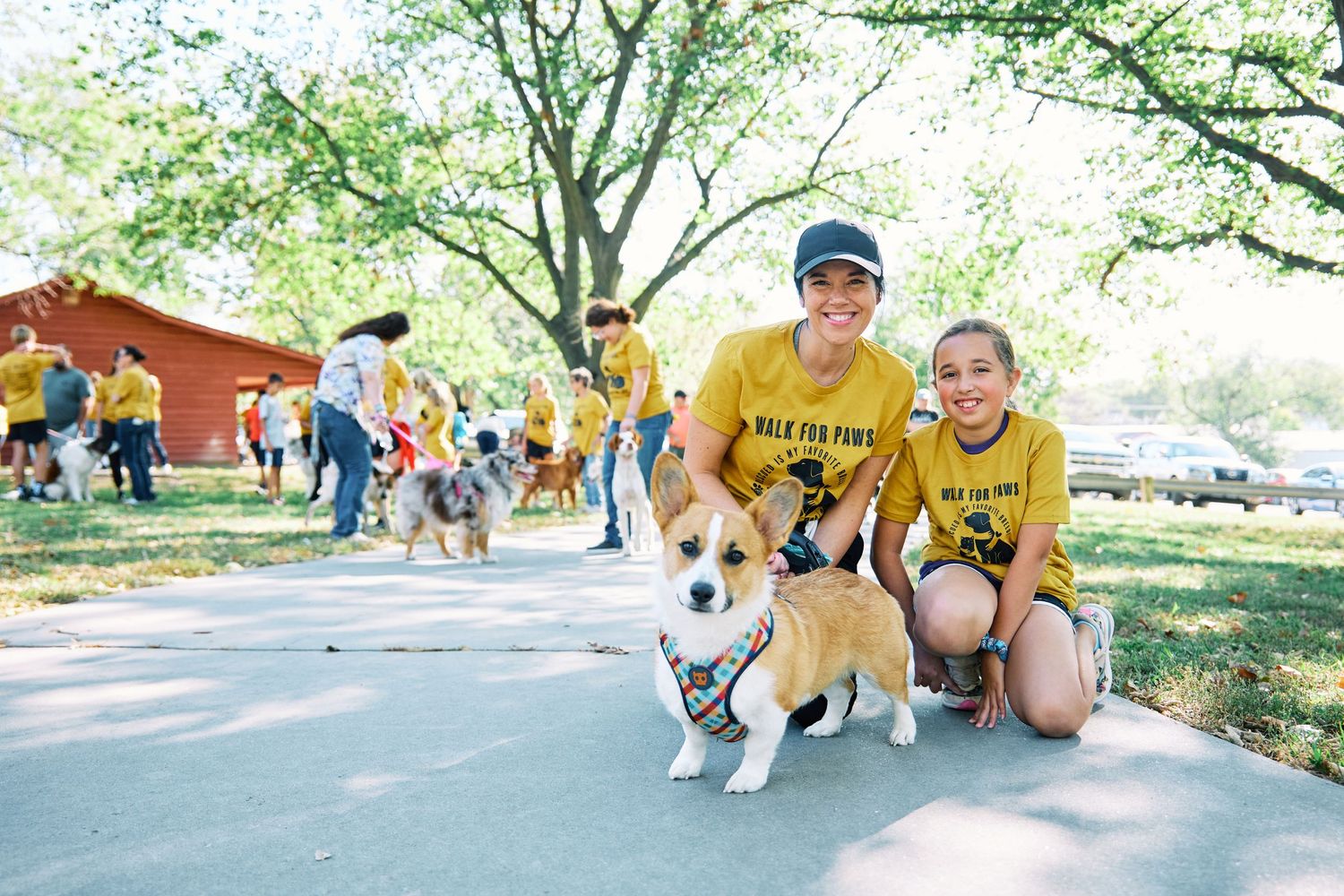 Person in yellow shirt kneels next to a small corgi dog on a paved path.