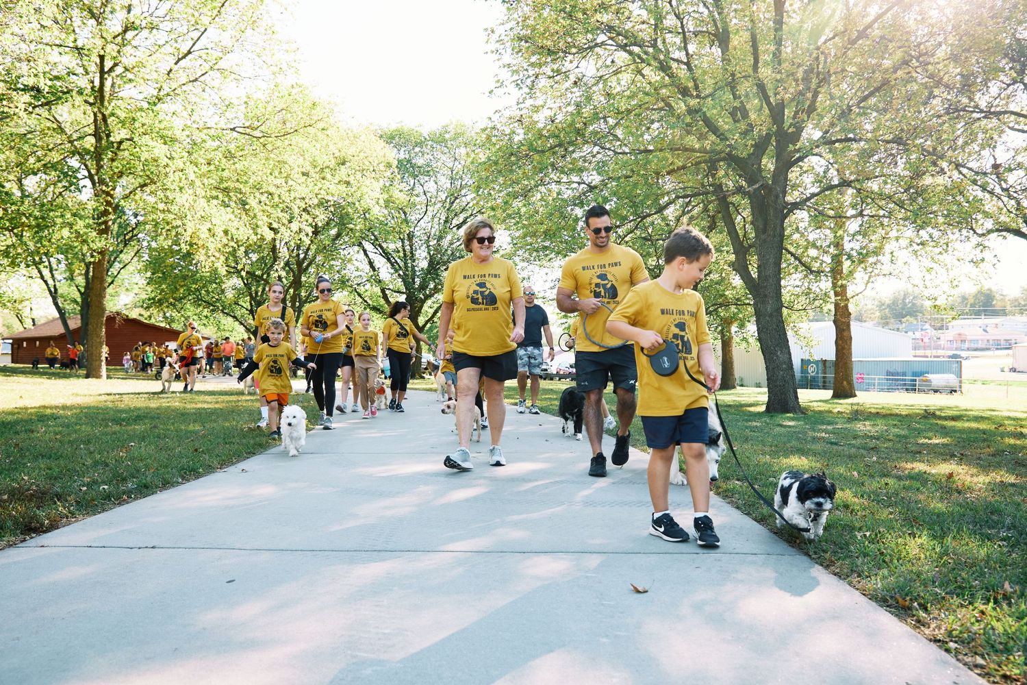People in yellow shirts walking dogs along paved path during community event.