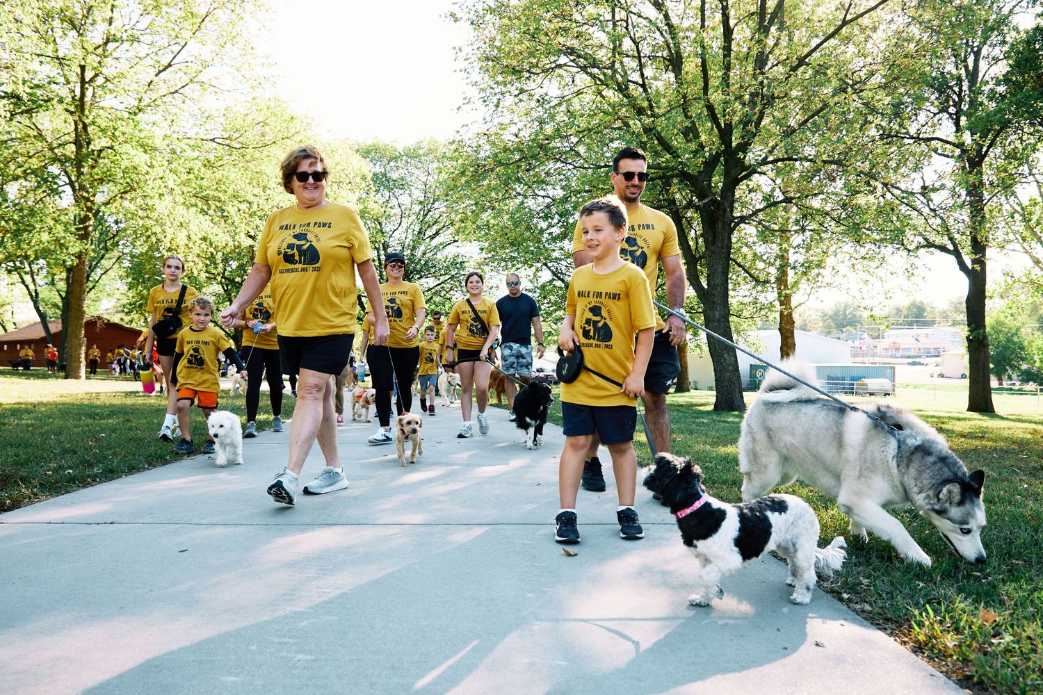 Group walking dogs along sunny park path wearing matching yellow t-shirts.