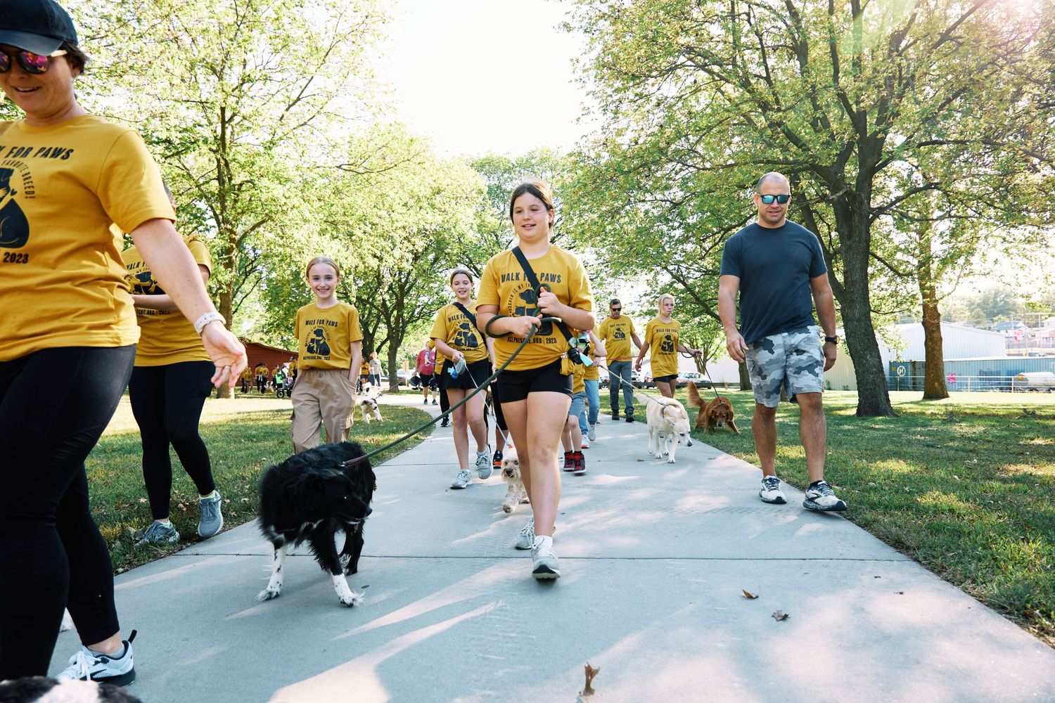 Participants with dogs walking along path during outdoor community event.