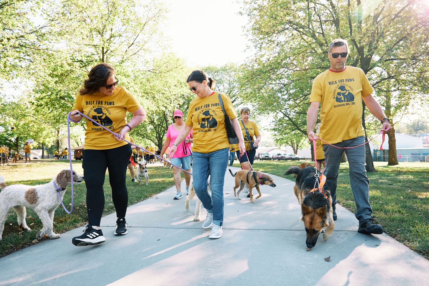 Dogs and their owners participating in a community walk event on a tree-lined pathway.