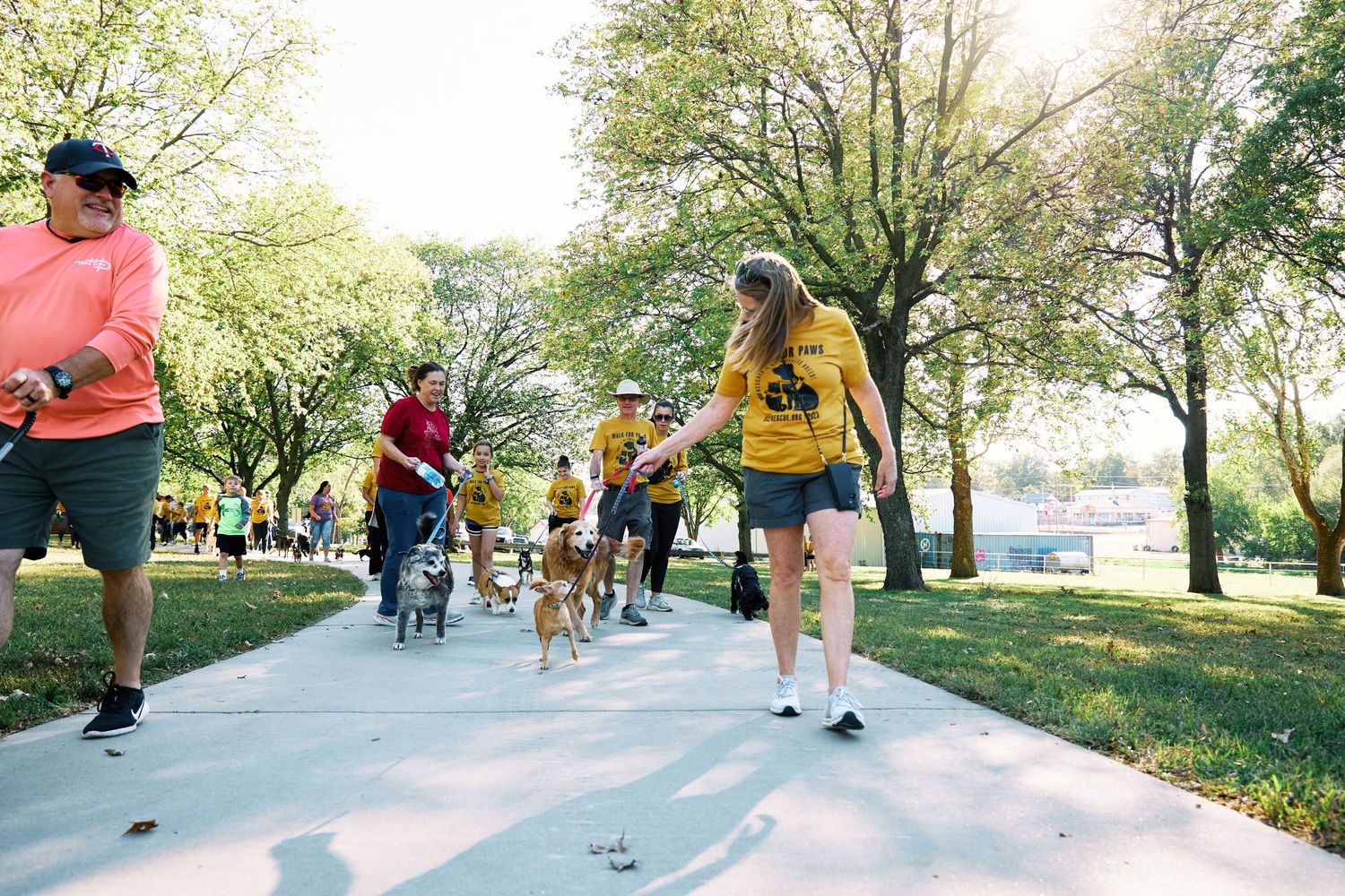 Dog walkers gathering on a sunlit path for a group activity in a park.