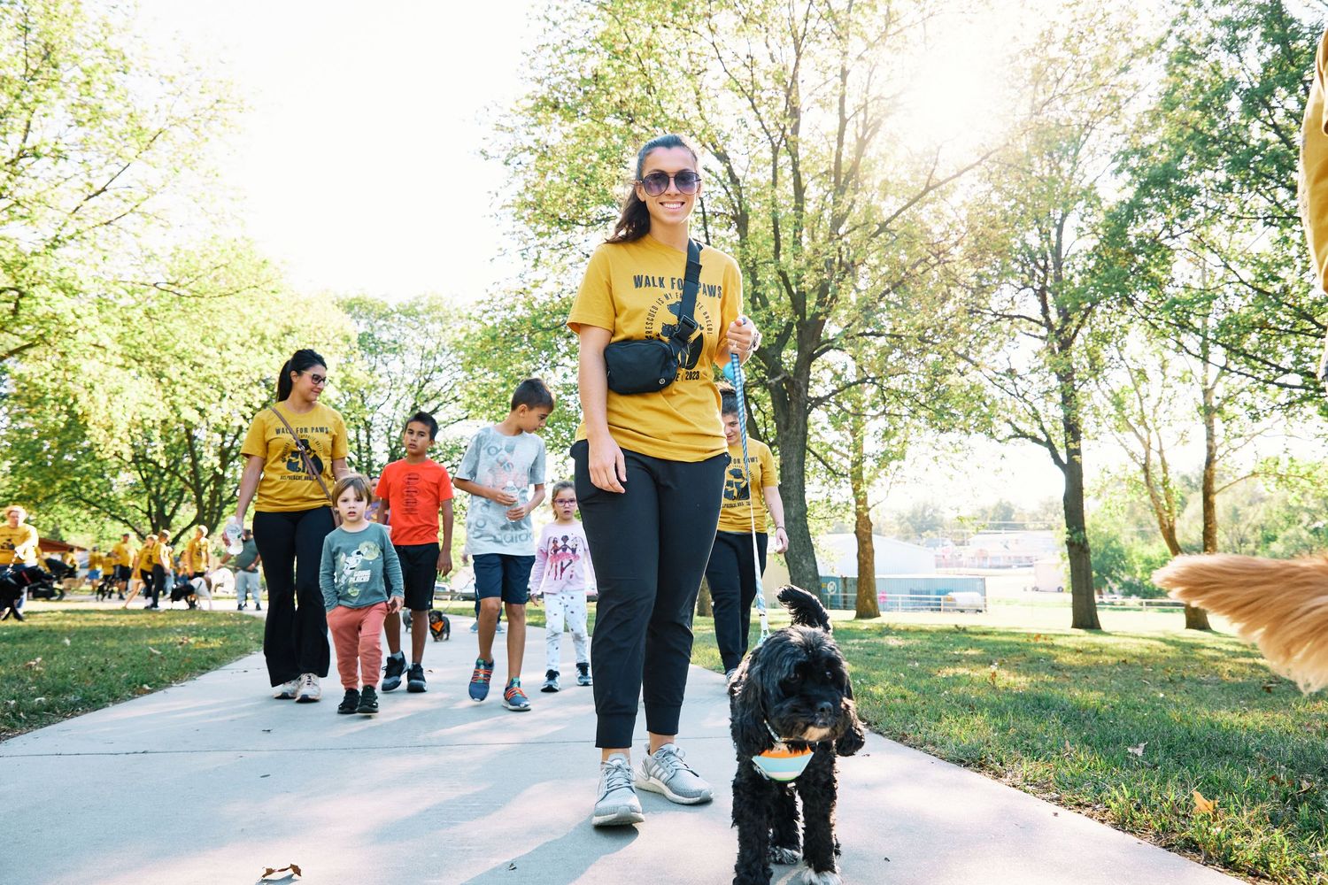 People in yellow shirts walking with their dogs during a community event in a park setting.