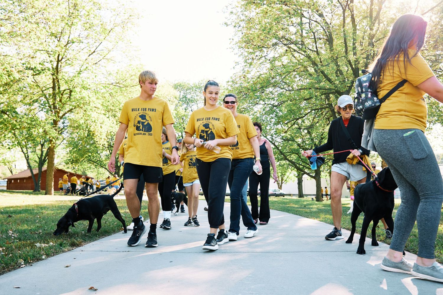Group walking with their dogs along a scenic park path during a community gathering.