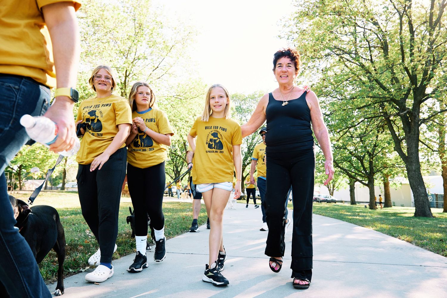 People in yellow shirts participating in an organized dog walking event on a sunny day.