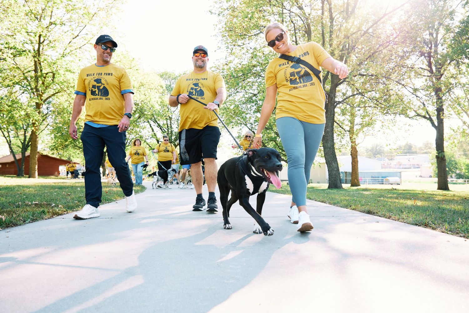 Dogs and their handlers enjoying a group walk on a beautiful park pathway.