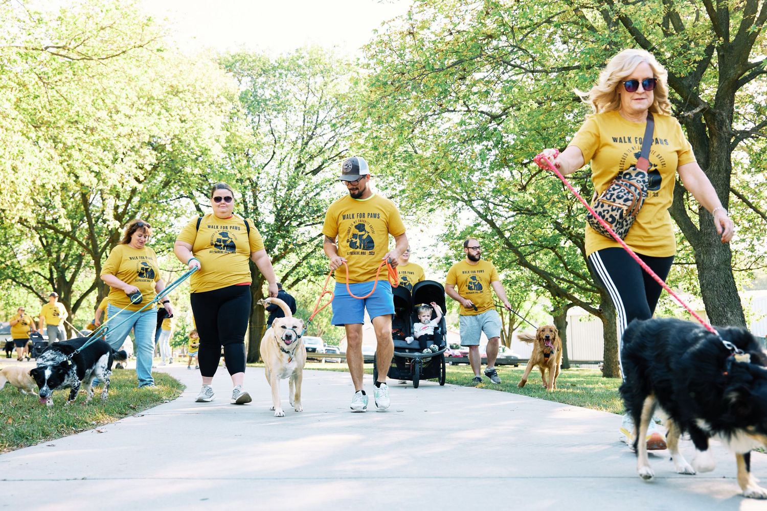 Community dog walking event taking place on a tree-lined path in a park setting.