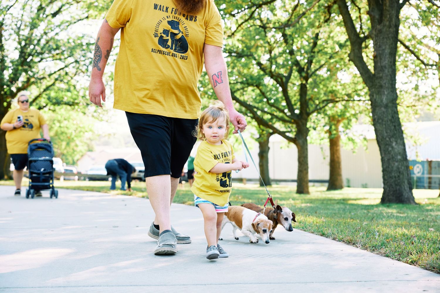 Group of people walking dogs on a tree-lined path during an outdoor community event.