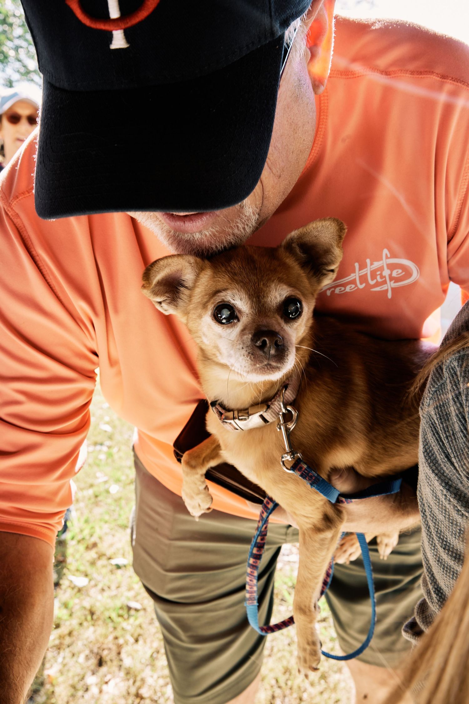 Small brown Chihuahua dog with expressive eyes being held outdoors.