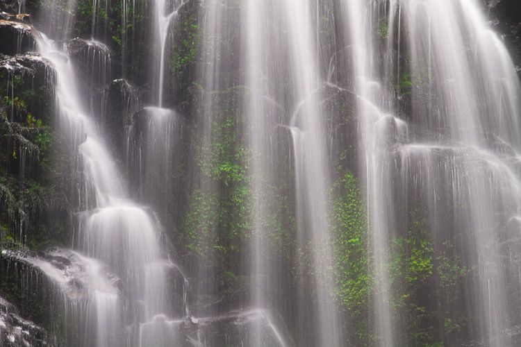 Berry Falls, Big Basin State Park, California