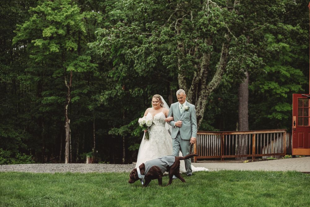 Professional wedding photo - bride with father