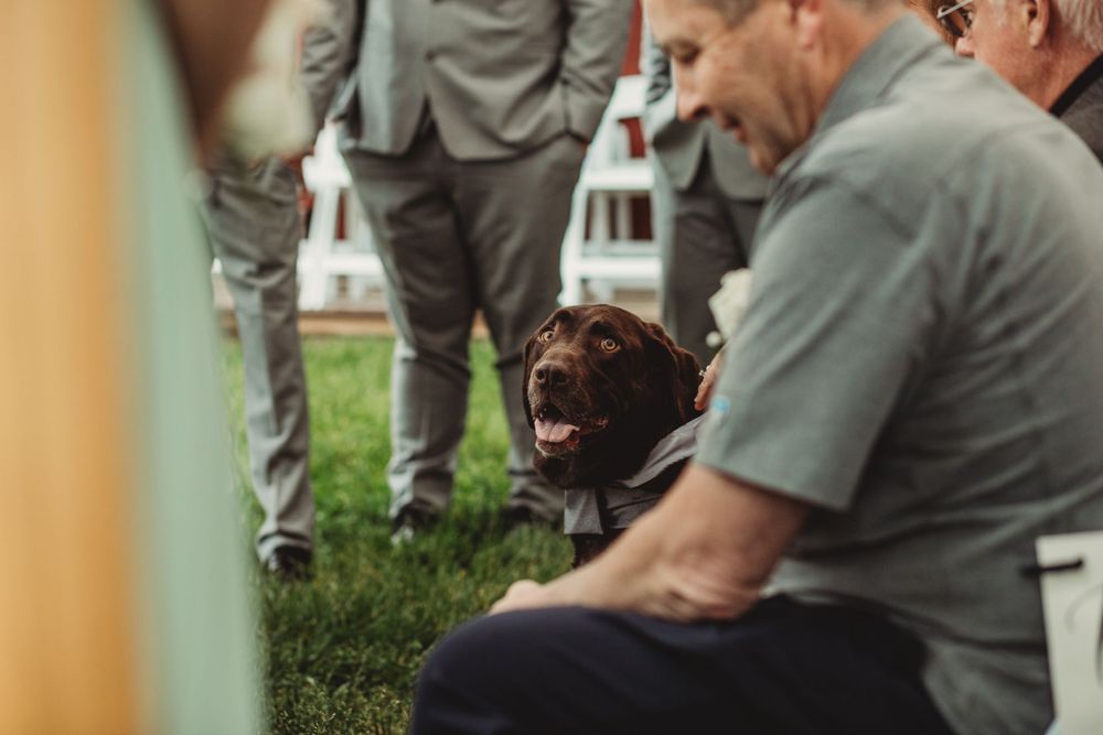 Professional wedding photo - details