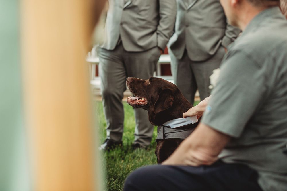Professional wedding photo - details