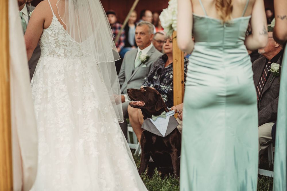 Professional wedding photo - details