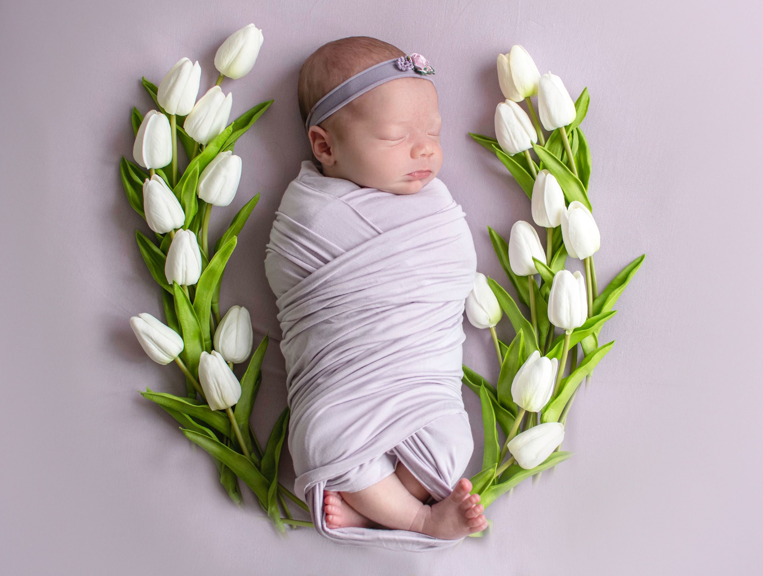 A newborn baby wrapped in grey lying in a circle of white tulips.