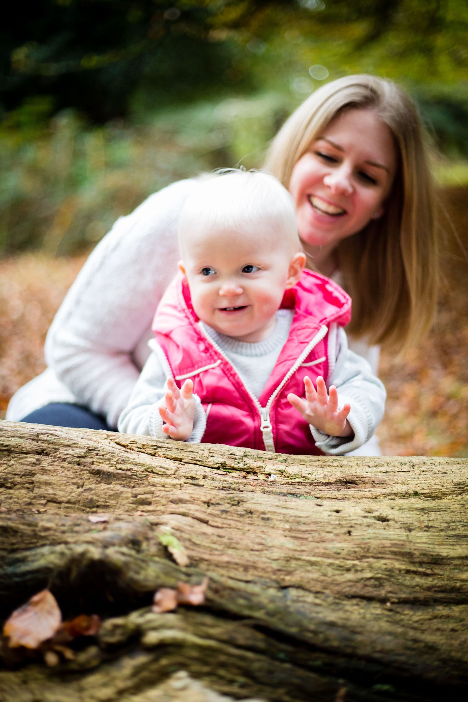 Playful interaction on fallen log surrounded by autumn leaves in forest setting.