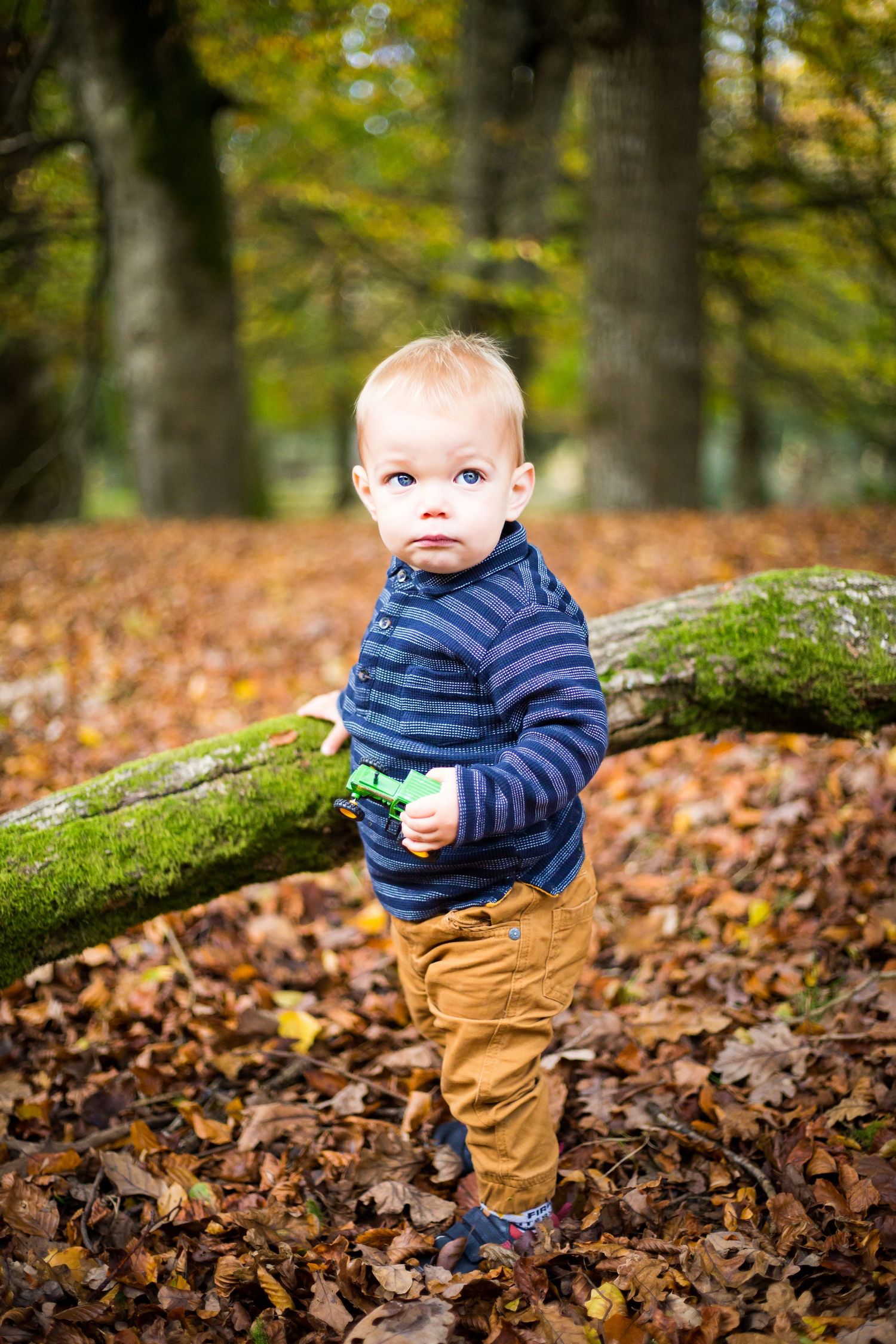 Small child in striped sweater and brown pants standing among fallen autumn leaves in a forest.