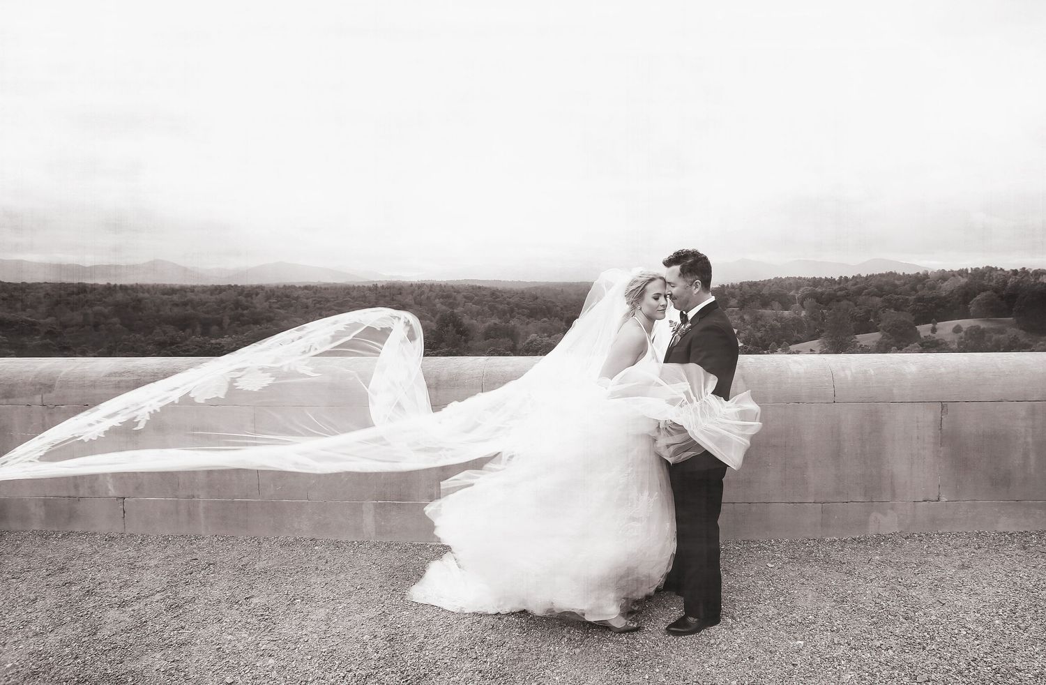 Wedding Couple standing in the wind at The Biltmore Estate