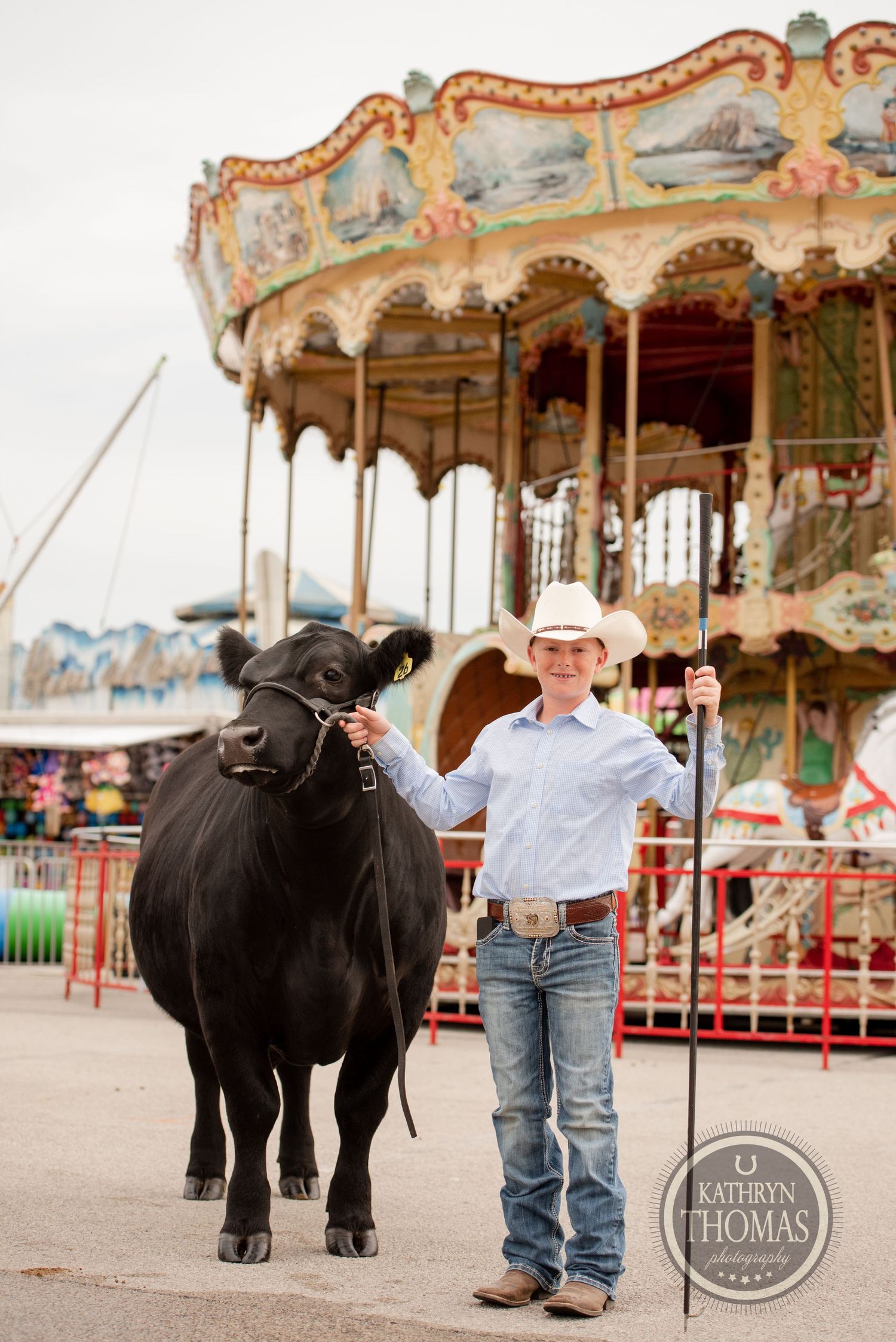 Show steer being exhibited in front of vintage carousel at county fair.