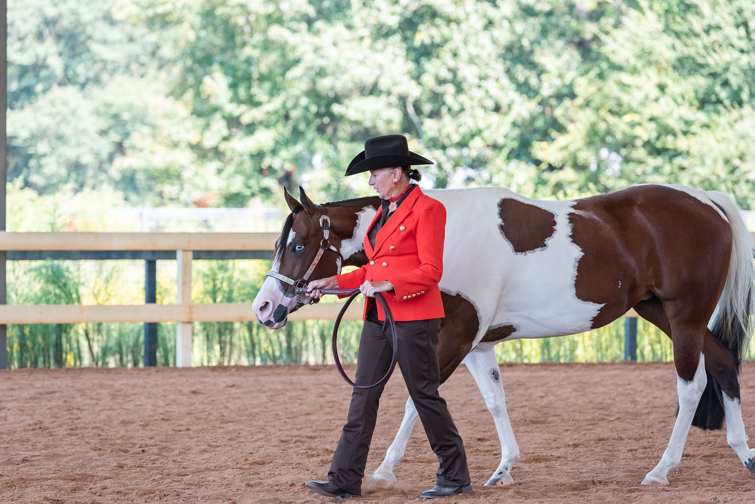 Lady in red jacket shows horse in showmanship class at APHA show in Camden, South Carolina.