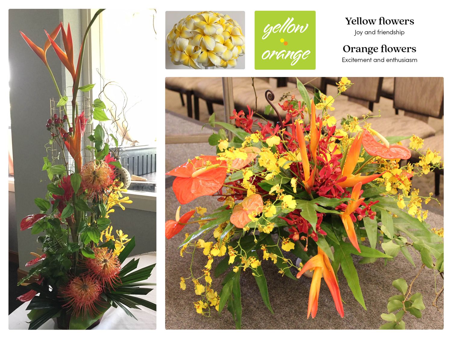 Yellow and orange flowers mean joy and excitement.