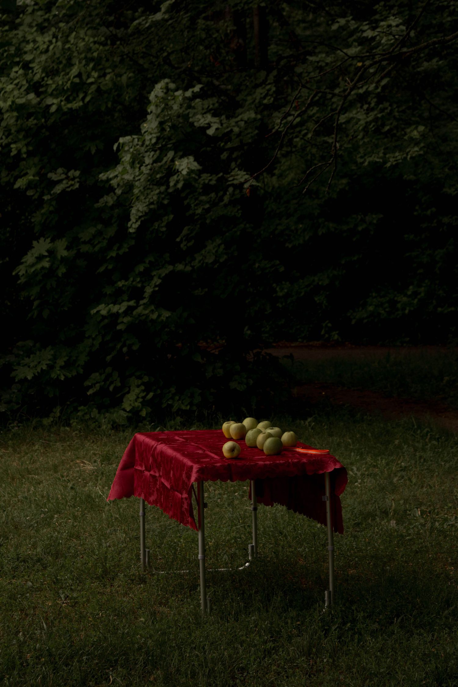 A red tablecloth covers a small table in a dark garden setting with green apples arranged on top, Oxford, UK