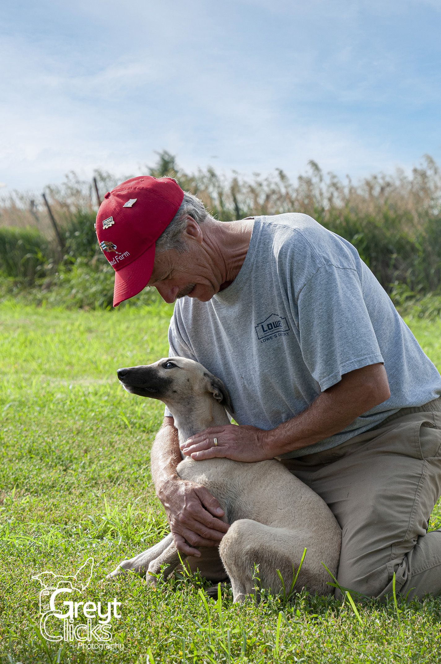 man in red crossland farm hat and gray shirt playing with fawn greyhound puppy