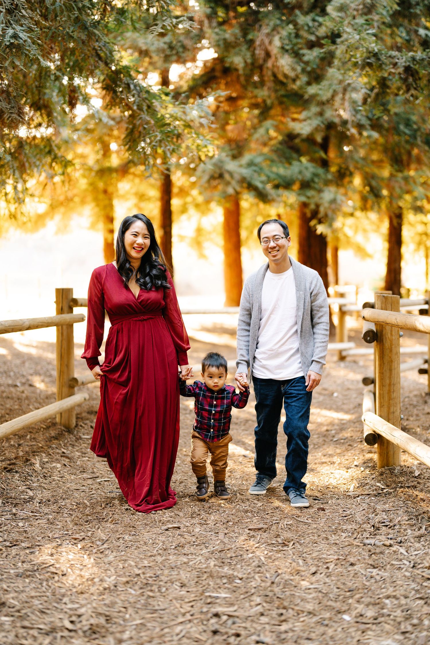 Family walking on forest path with golden sunlight filtering through trees.