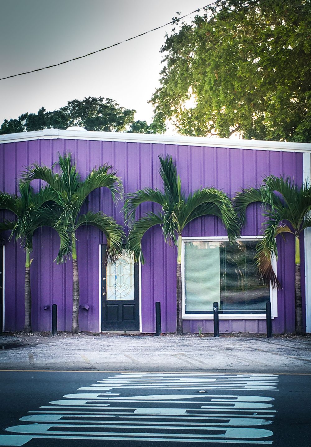 Purple building exterior with palm trees and striped parking spaces in front.