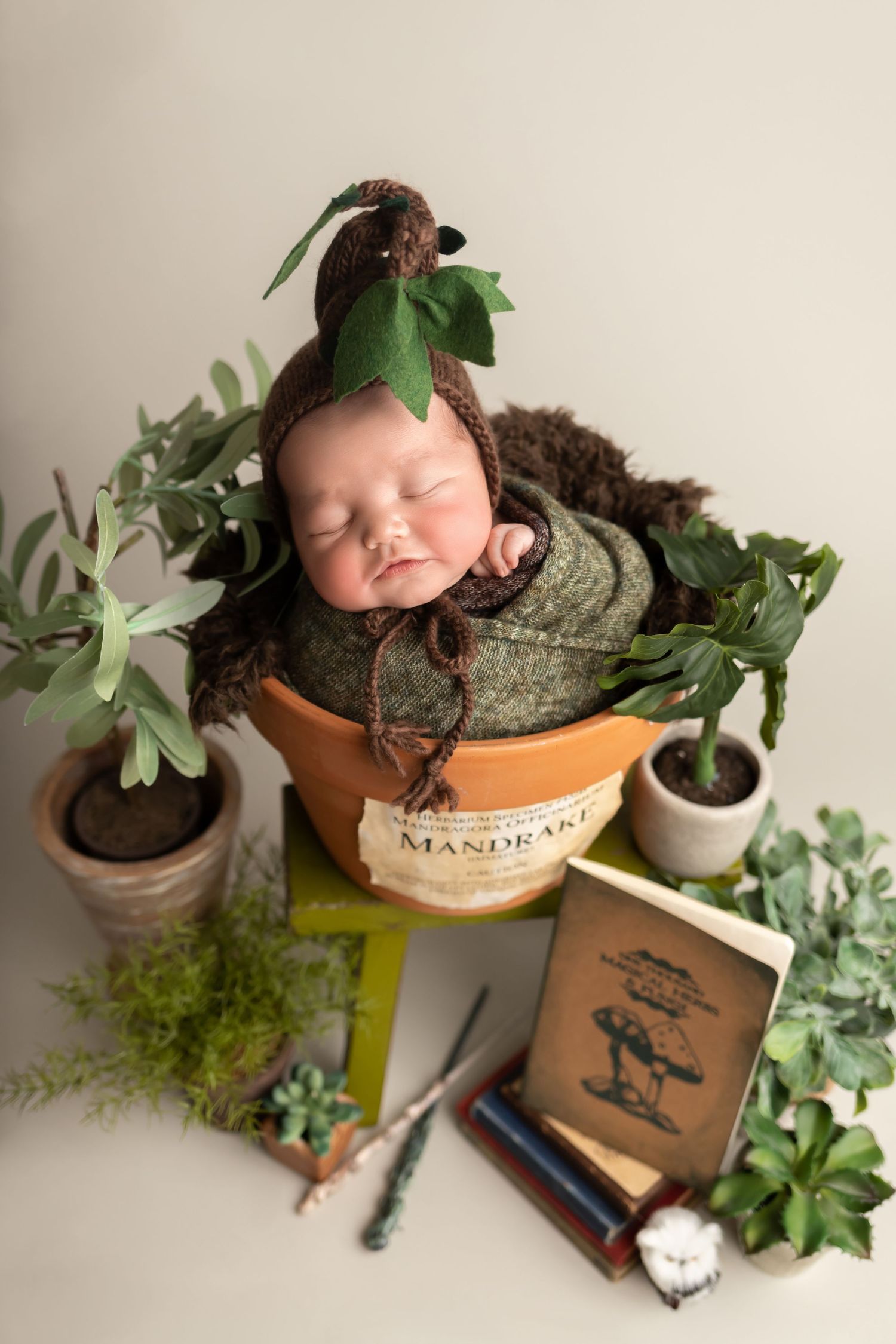 Newborn boy photo, taken by Jen Knightstep, Photographer