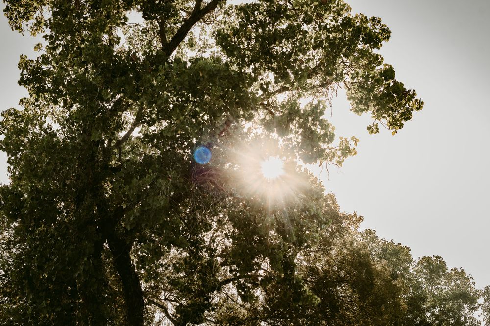 Luling, Texas Photographer - Katy Montoya Photography | Karnes City, Texas Photographer - San Antonio, Texas Photography